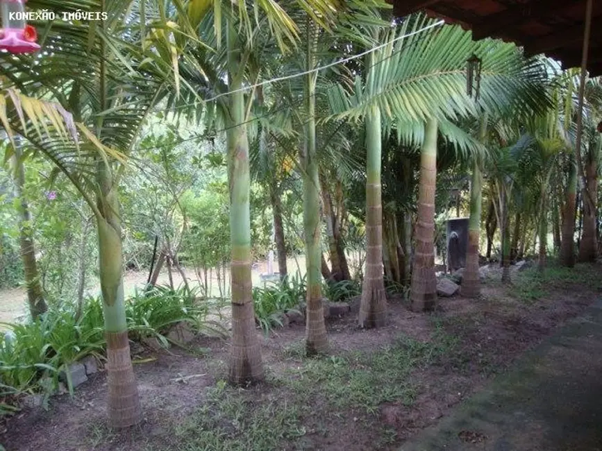 Chácara com 3 quartos à venda, 33000m2 em Centro, Paraibuna - SP - imagem 6 Foto 6 de Chácara com 3 quartos à venda, 33000m2 em Centro, Paraibuna - SP