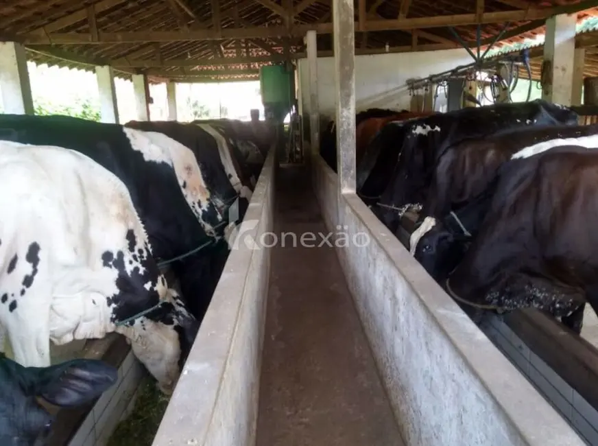 Fazenda / Haras com 4 quartos à venda, 100m2 em Cunha - SP - imagem 4 Foto 4 de Fazenda / Haras com 4 quartos à venda, 100m2 em Cunha - SP