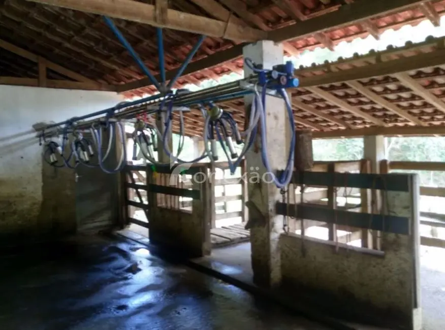 Fazenda / Haras com 4 quartos à venda, 100m2 em Cunha - SP - imagem 7 Foto 7 de Fazenda / Haras com 4 quartos à venda, 100m2 em Cunha - SP