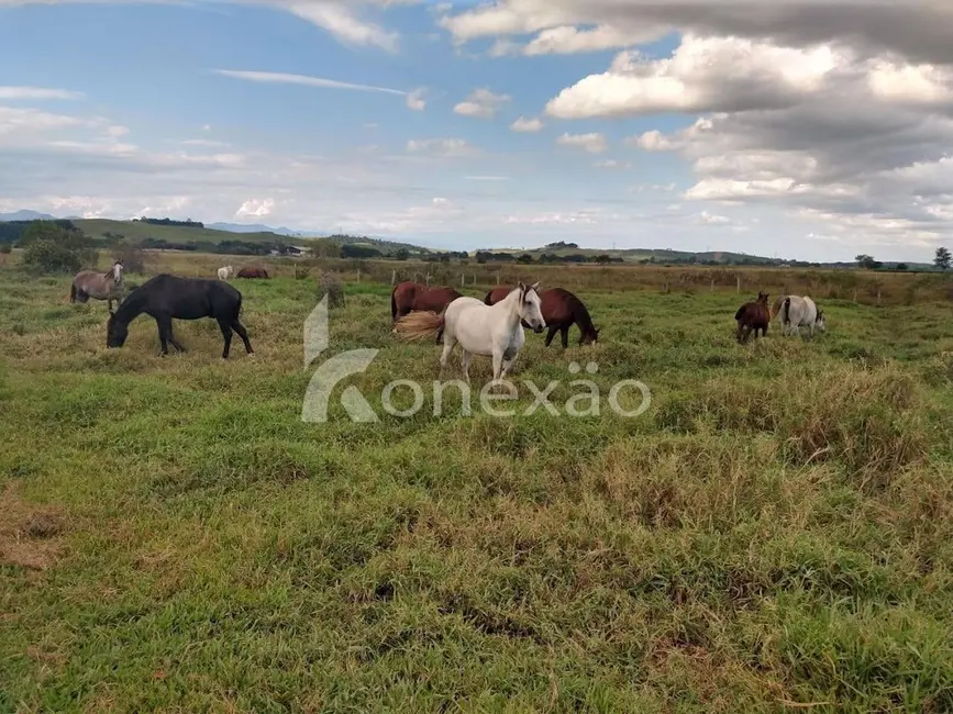 Foto 7 de Sítio / Rancho com 1 quarto à venda, 300m2 em Borda da Mata, Cacapava - SP
