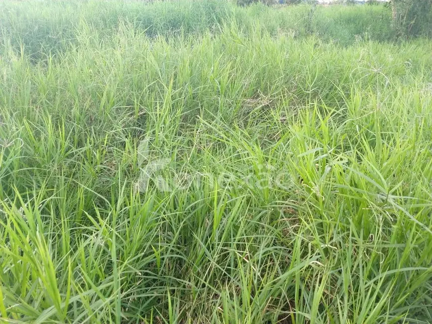 Foto 2 de Sítio / Rancho com 1 quarto à venda, 300m2 em Borda da Mata, Cacapava - SP