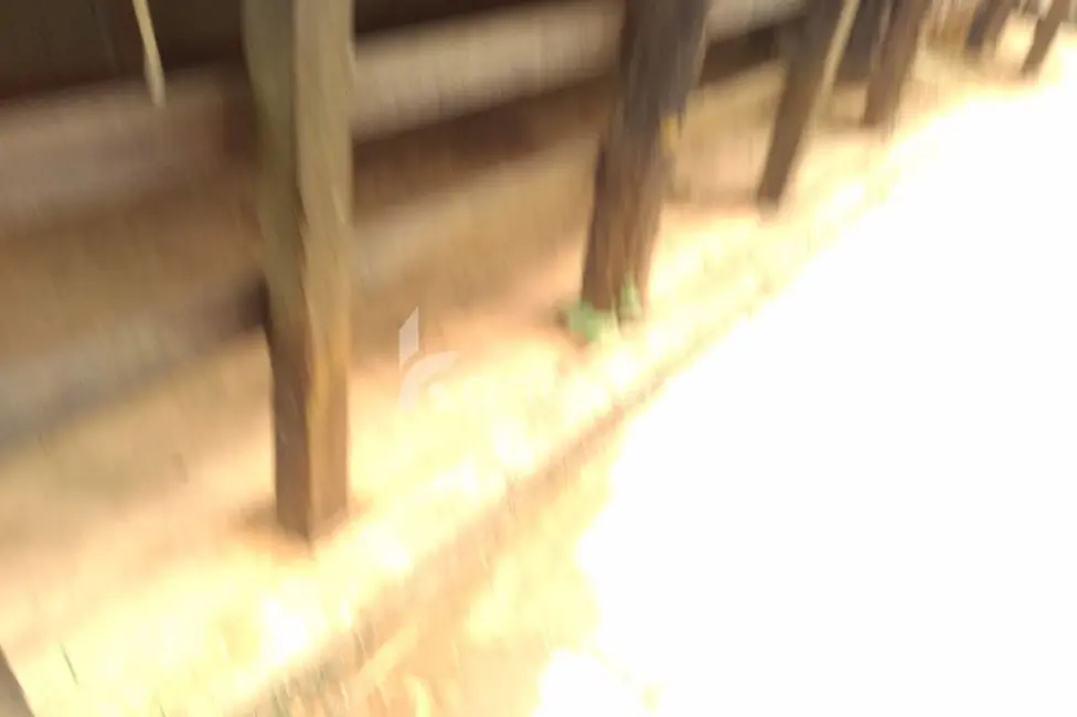 Sítio / Rancho com 2 quartos à venda, 200m2 em Paraibuna - SP - imagem 3 Foto 3 de Sítio / Rancho com 2 quartos à venda, 200m2 em Paraibuna - SP