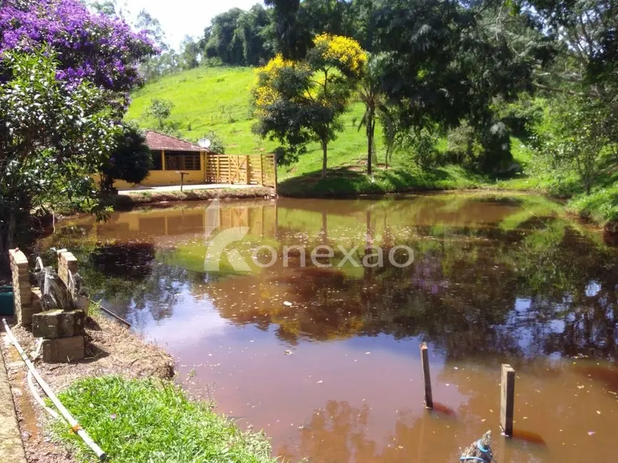 Sítio / Rancho com 2 quartos à venda, 100m2 em Centro, Cunha - SP - imagem 1 Foto 1 de Sítio / Rancho com 2 quartos à venda, 100m2 em Centro, Cunha - SP