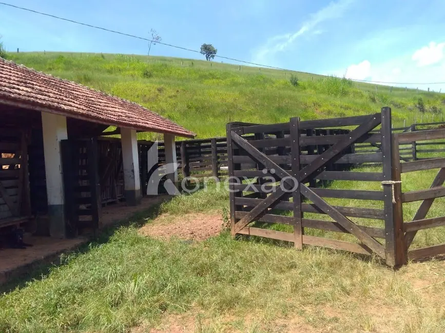Sítio / Rancho com 2 quartos à venda, 100m2 em Centro, Cunha - SP - imagem 9 Foto 9 de Sítio / Rancho com 2 quartos à venda, 100m2 em Centro, Cunha - SP