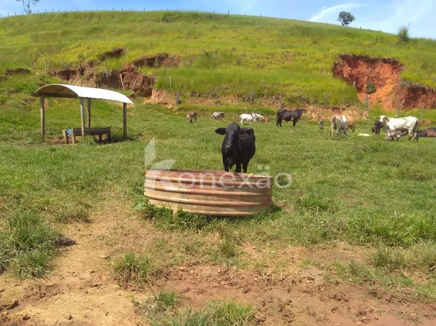 Sítio / Rancho com 2 quartos à venda, 100m2 em Centro, Cunha - SP - imagem 5 Foto 5 de Sítio / Rancho com 2 quartos à venda, 100m2 em Centro, Cunha - SP