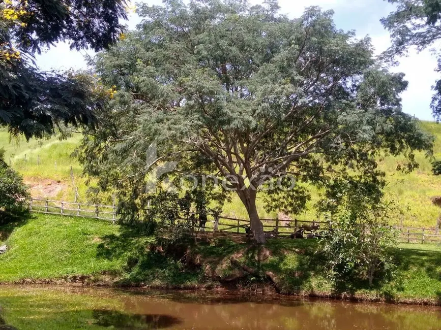 Sítio / Rancho com 2 quartos à venda, 100m2 em Centro, Cunha - SP - imagem 3 Foto 3 de Sítio / Rancho com 2 quartos à venda, 100m2 em Centro, Cunha - SP