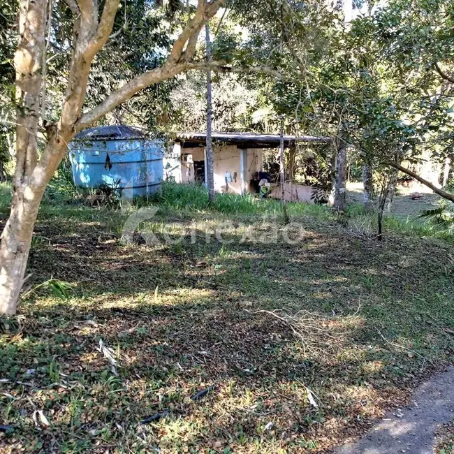 Sítio / Rancho com 3 quartos à venda, 300m2 em Paraibuna - SP - imagem 8 Foto 8 de Sítio / Rancho com 3 quartos à venda, 300m2 em Paraibuna - SP