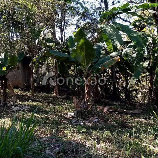 Sítio / Rancho com 3 quartos à venda, 300m2 em Paraibuna - SP - imagem 7 Foto 7 de Sítio / Rancho com 3 quartos à venda, 300m2 em Paraibuna - SP