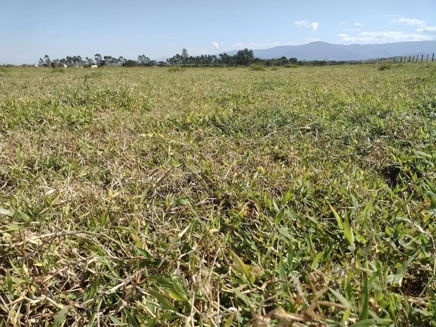 Foto 6 de Fazenda / Haras com 5 quartos à venda, 100m2 em Pedregulho, Guaratingueta - SP