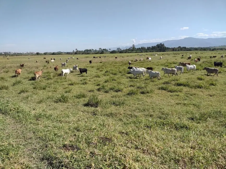 Foto 7 de Fazenda / Haras com 5 quartos à venda, 100m2 em Pedregulho, Guaratingueta - SP