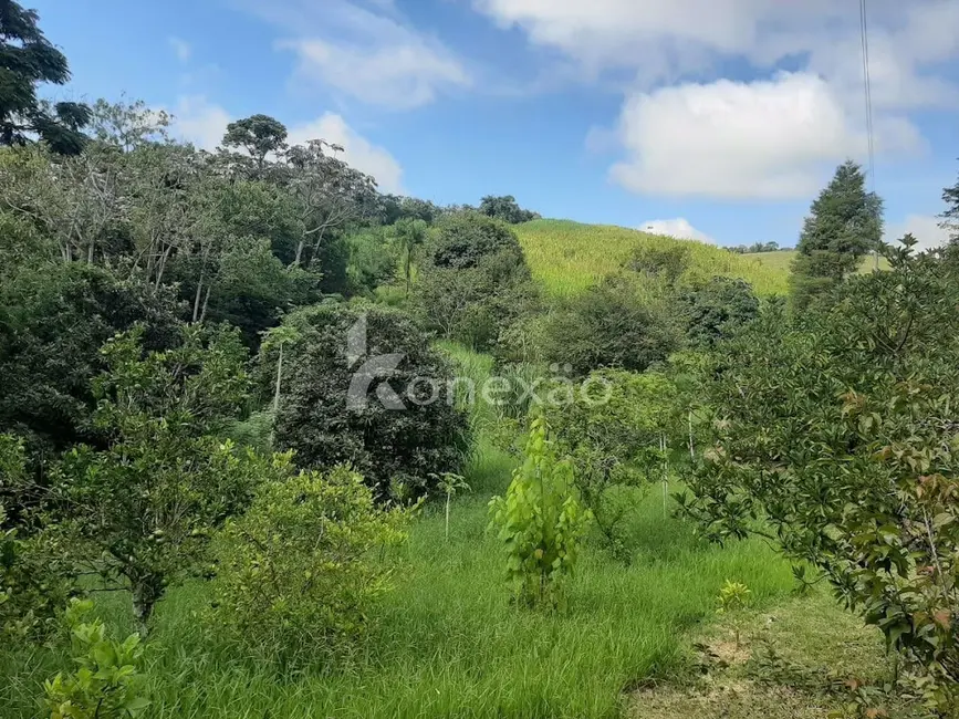 Sítio / Rancho com 3 quartos à venda, 300m2 em Centro, Taubate - SP - imagem 6 Foto 6 de Sítio / Rancho com 3 quartos à venda, 300m2 em Centro, Taubate - SP