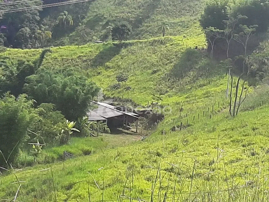 Sítio / Rancho com 3 quartos à venda, 300m2 em Centro, Taubate - SP - imagem 1 Foto 1 de Sítio / Rancho com 3 quartos à venda, 300m2 em Centro, Taubate - SP
