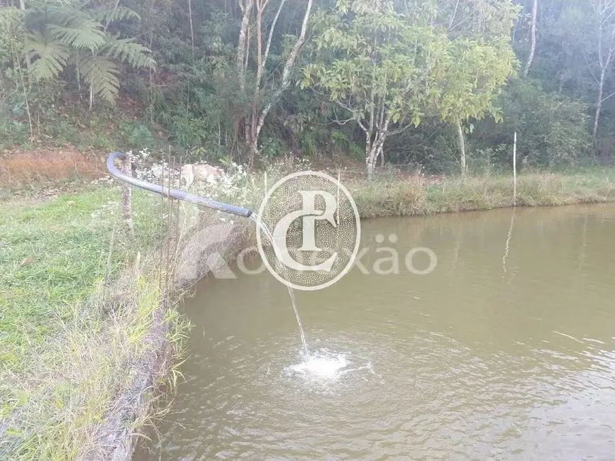 Foto 6 de Sítio / Rancho com 3 quartos à venda, 250m2 em Sao Jose Dos Campos - SP