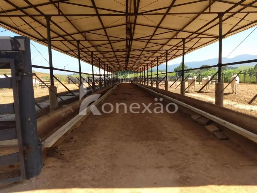 Fazenda / Haras com 2 quartos à venda, 249m2 em Cacapava - SP - imagem 5 Foto 5 de Fazenda / Haras com 2 quartos à venda, 249m2 em Cacapava - SP