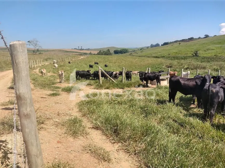 Fazenda / Haras com 2 quartos à venda, 249m2 em Cacapava - SP - imagem 7 Foto 7 de Fazenda / Haras com 2 quartos à venda, 249m2 em Cacapava - SP