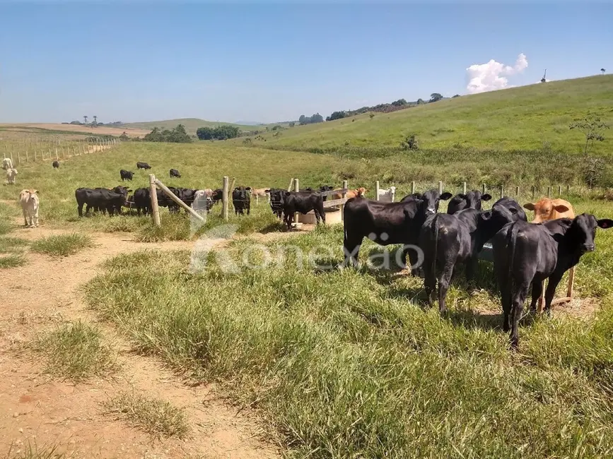 Fazenda / Haras com 2 quartos à venda, 249m2 em Cacapava - SP - imagem 6 Foto 6 de Fazenda / Haras com 2 quartos à venda, 249m2 em Cacapava - SP