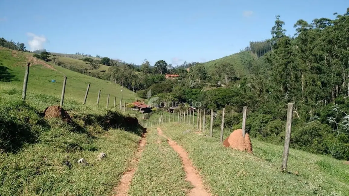 Fazenda / Haras com 3 quartos à venda, 500m2 em Paraibuna - SP - imagem 3 Foto 3 de Fazenda / Haras com 3 quartos à venda, 500m2 em Paraibuna - SP