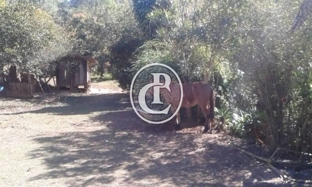 Foto 2 de Sítio / Rancho com 3 quartos à venda, 300m2 em Jambeiro - SP
