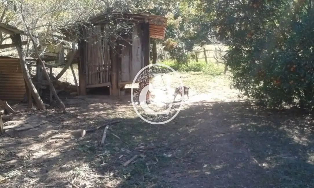 Foto 4 de Sítio / Rancho com 3 quartos à venda, 300m2 em Jambeiro - SP