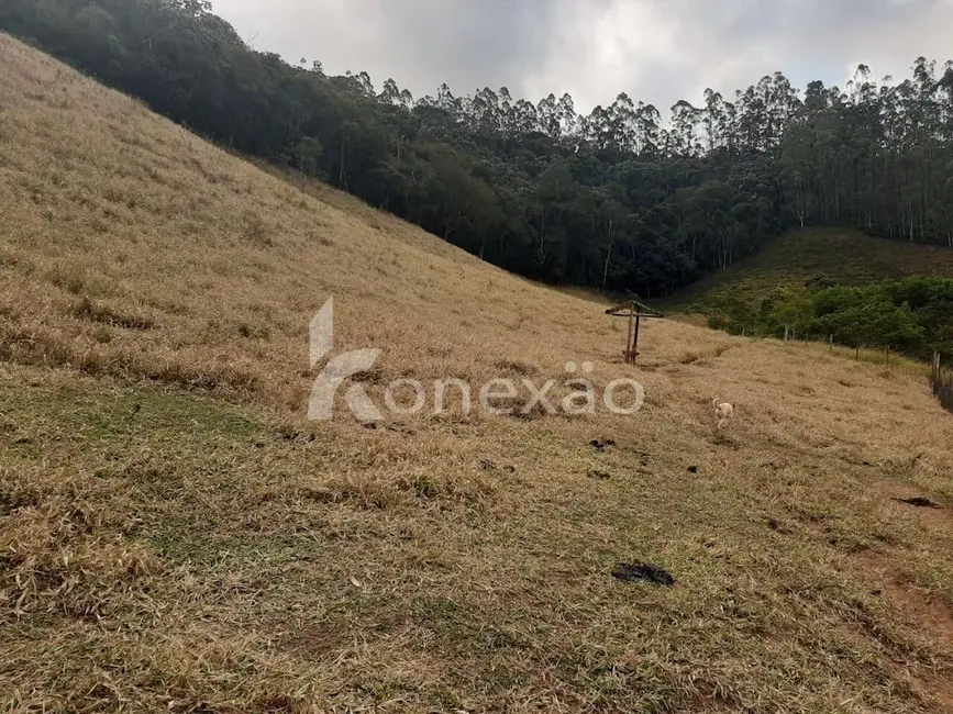 Sítio / Rancho com 1 quarto à venda em Paraibuna - SP - imagem 4 Foto 4 de Sítio / Rancho com 1 quarto à venda em Paraibuna - SP