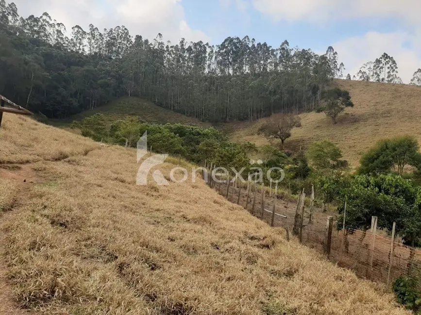 Sítio / Rancho com 1 quarto à venda em Paraibuna - SP - imagem 3 Foto 3 de Sítio / Rancho com 1 quarto à venda em Paraibuna - SP