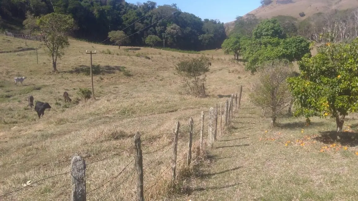 Fazenda / Haras com 2 quartos à venda, 100m2 em Cunha - SP - imagem 7 Foto 7 de Fazenda / Haras com 2 quartos à venda, 100m2 em Cunha - SP