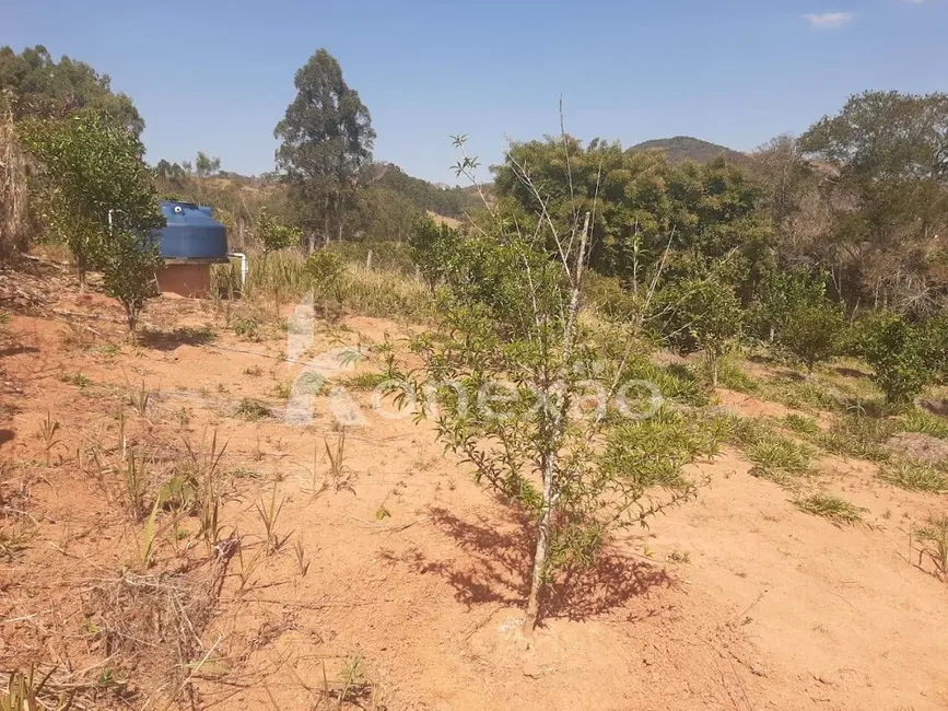 Chácara com 2 quartos à venda, 150m2 em Centro, Paraibuna - SP - imagem 4 Foto 4 de Chácara com 2 quartos à venda, 150m2 em Centro, Paraibuna - SP