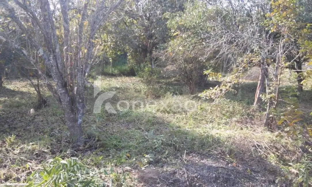 Chácara com 3 quartos à venda, 200m2 em Paraibuna - SP - imagem 5 Foto 5 de Chácara com 3 quartos à venda, 200m2 em Paraibuna - SP