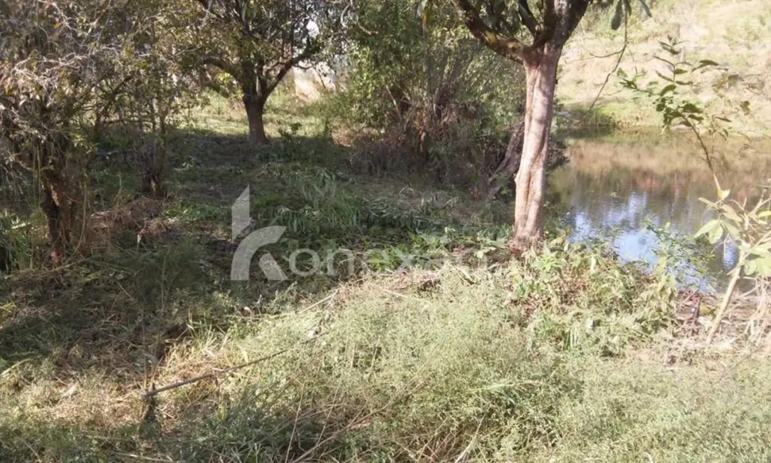Chácara com 3 quartos à venda, 200m2 em Paraibuna - SP - imagem 6 Foto 6 de Chácara com 3 quartos à venda, 200m2 em Paraibuna - SP