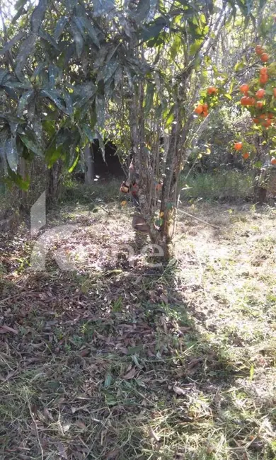 Chácara com 3 quartos à venda, 200m2 em Paraibuna - SP - imagem 2 Foto 2 de Chácara com 3 quartos à venda, 200m2 em Paraibuna - SP