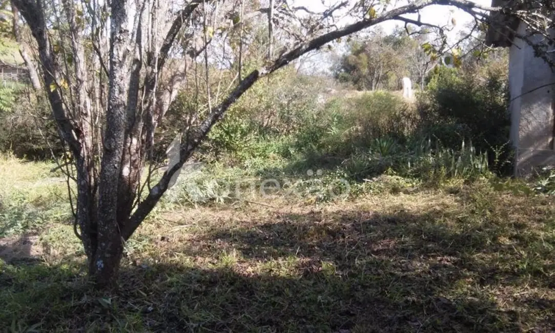 Chácara com 3 quartos à venda, 200m2 em Paraibuna - SP - imagem 8 Foto 8 de Chácara com 3 quartos à venda, 200m2 em Paraibuna - SP