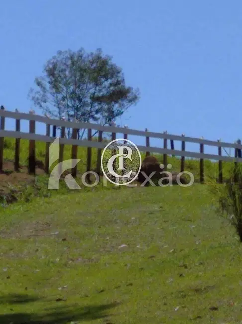 Chácara com 3 quartos à venda, 90m2 em Sao Jose Dos Campos - SP - imagem 4 Foto 4 de Chácara com 3 quartos à venda, 90m2 em Sao Jose Dos Campos - SP