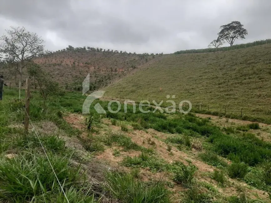 Fazenda / Haras com 1 quarto à venda, 90m2 em Paraibuna - SP - imagem 7 Foto 7 de Fazenda / Haras com 1 quarto à venda, 90m2 em Paraibuna - SP