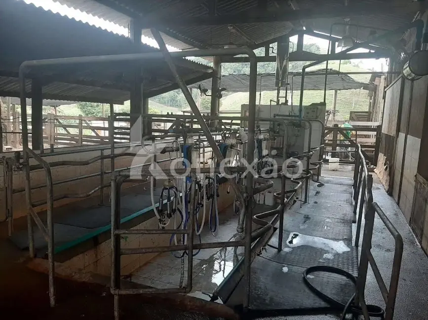 Fazenda / Haras com 1 quarto à venda, 90m2 em Paraibuna - SP - imagem 3 Foto 3 de Fazenda / Haras com 1 quarto à venda, 90m2 em Paraibuna - SP