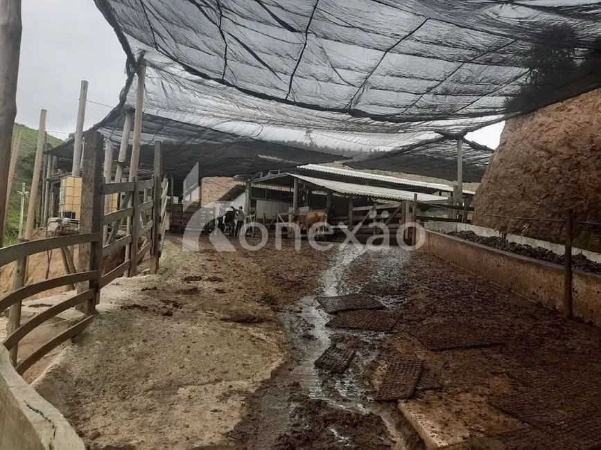 Fazenda / Haras com 1 quarto à venda, 90m2 em Paraibuna - SP - imagem 9 Foto 9 de Fazenda / Haras com 1 quarto à venda, 90m2 em Paraibuna - SP