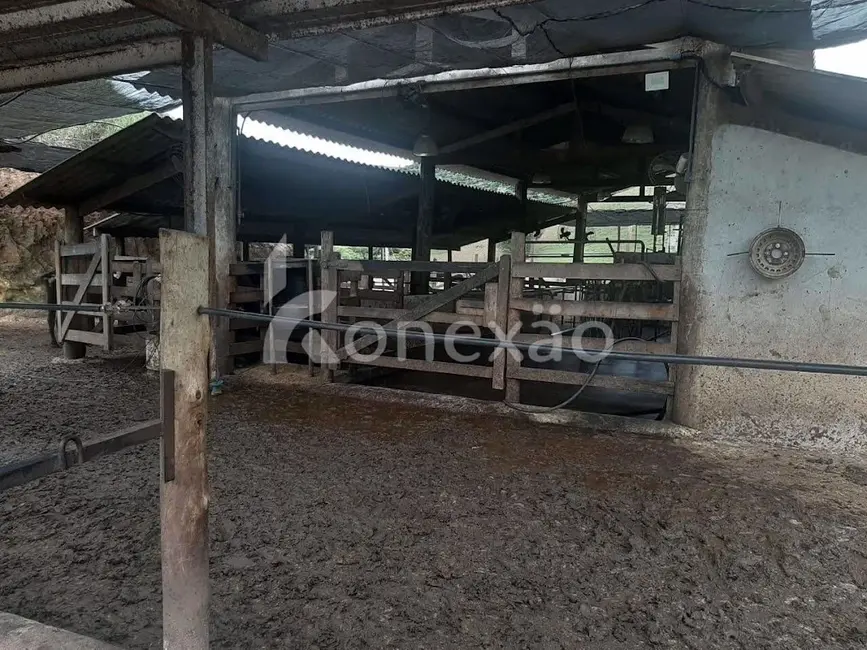 Fazenda / Haras com 1 quarto à venda, 90m2 em Paraibuna - SP - imagem 4 Foto 4 de Fazenda / Haras com 1 quarto à venda, 90m2 em Paraibuna - SP