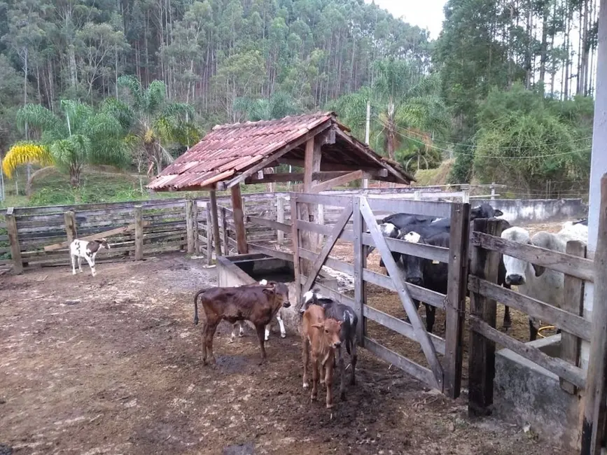 Fazenda / Haras com 5 quartos à venda, 600m2 em Paraibuna - SP - imagem 2 Foto 2 de Fazenda / Haras com 5 quartos à venda, 600m2 em Paraibuna - SP