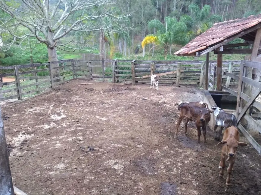 Fazenda / Haras com 5 quartos à venda, 600m2 em Paraibuna - SP - imagem 4 Foto 4 de Fazenda / Haras com 5 quartos à venda, 600m2 em Paraibuna - SP