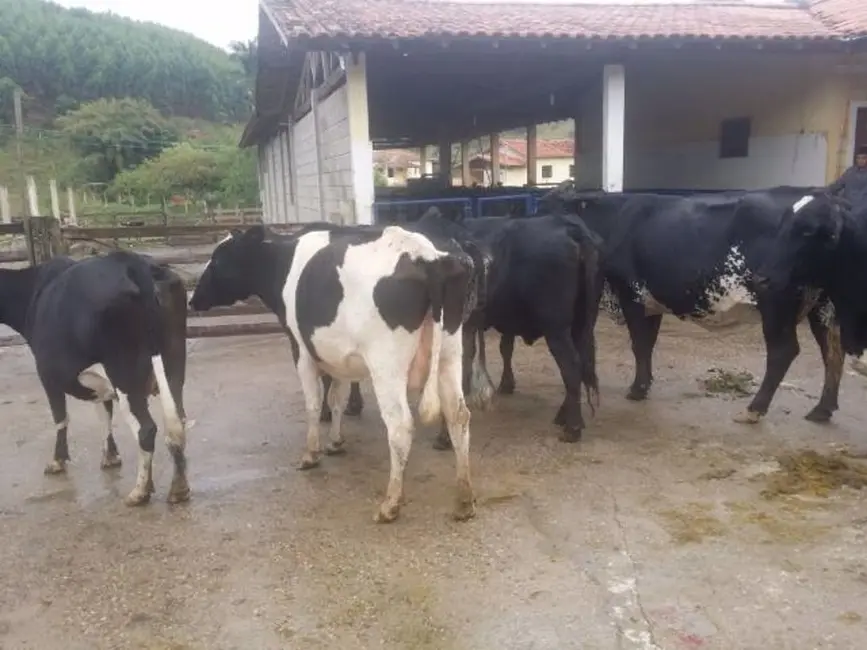 Fazenda / Haras com 5 quartos à venda, 500m2 em Paraibuna - SP - imagem 1 Foto 1 de Fazenda / Haras com 5 quartos à venda, 500m2 em Paraibuna - SP