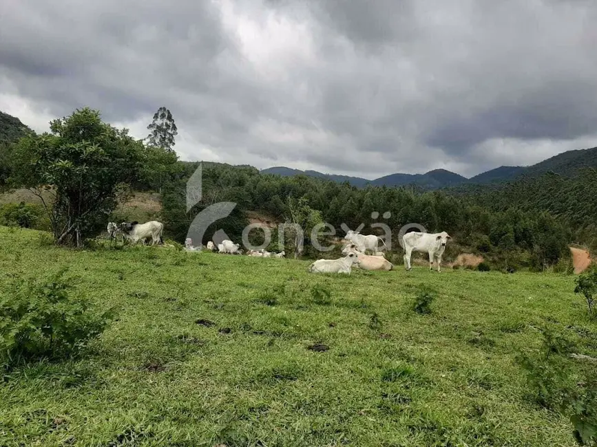Fazenda / Haras com 3 quartos à venda, 600m2 em Paraibuna - SP - imagem 6 Foto 6 de Fazenda / Haras com 3 quartos à venda, 600m2 em Paraibuna - SP