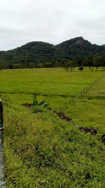 Foto 5 de Fazenda / Haras com 1 quarto à venda, 90m2 em Oliveira Barros, Miracatu - SP