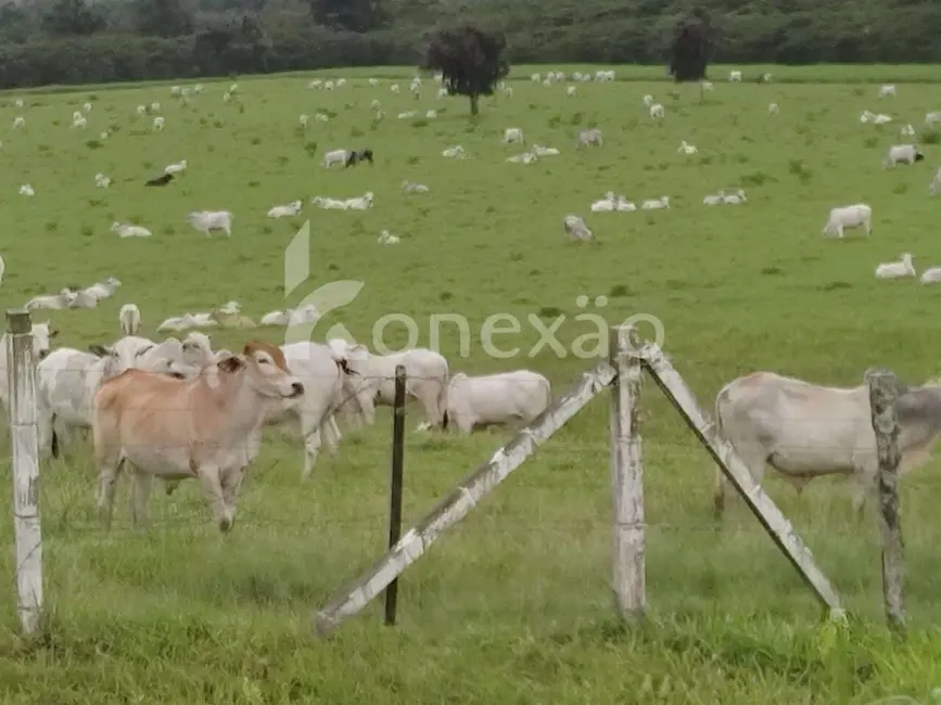Foto 7 de Fazenda / Haras com 1 quarto à venda, 90m2 em Oliveira Barros, Miracatu - SP