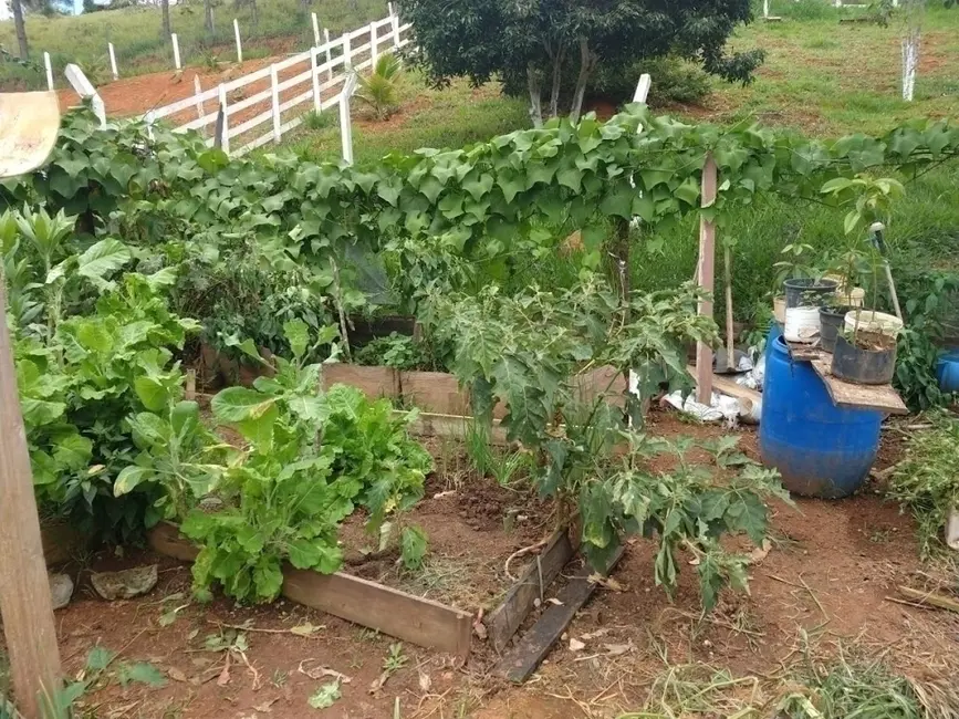 Sítio / Rancho com 8 quartos à venda, 300m2 em Sao Jose Dos Campos - SP - imagem 6 Foto 6 de Sítio / Rancho com 8 quartos à venda, 300m2 em Sao Jose Dos Campos - SP
