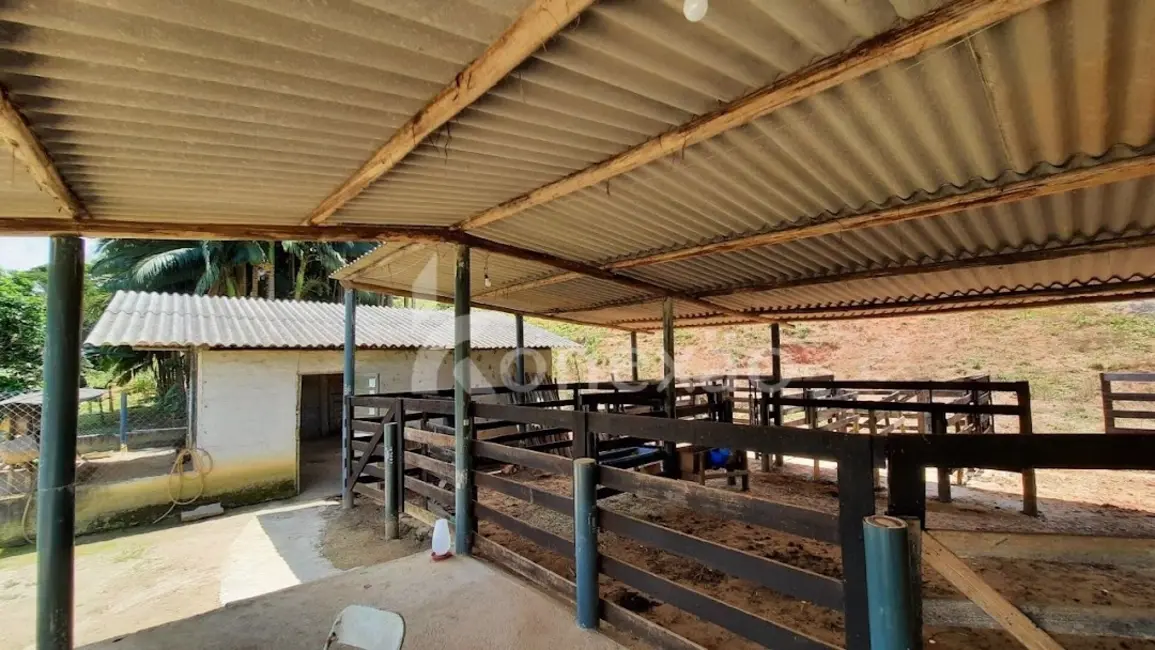 Sítio / Rancho com 1 quarto à venda, 90m2 em Centro, Paraibuna - SP - imagem 7 Foto 7 de Sítio / Rancho com 1 quarto à venda, 90m2 em Centro, Paraibuna - SP