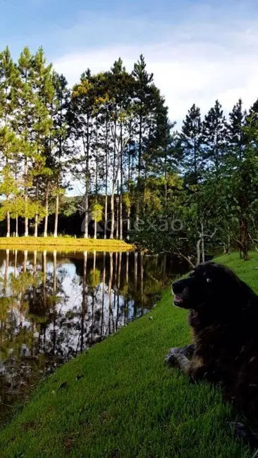 Sítio / Rancho com 3 quartos à venda, 200m2 em Centro, Paraibuna - SP - imagem 8 Foto 8 de Sítio / Rancho com 3 quartos à venda, 200m2 em Centro, Paraibuna - SP