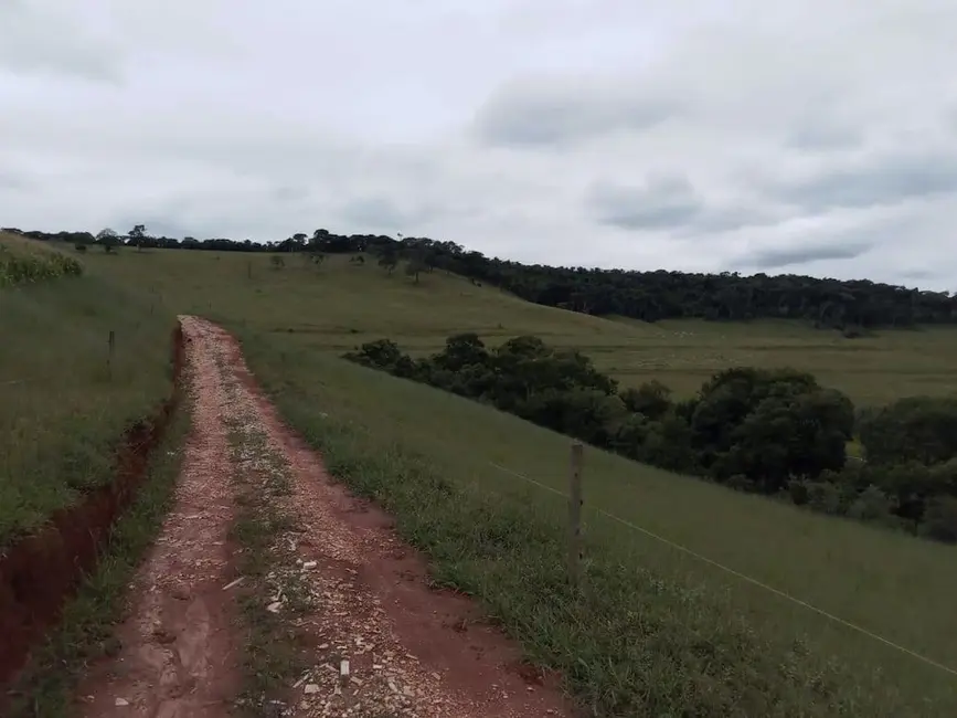 Fazenda / Haras com 2 quartos à venda, 90m2 em Centro, Dom Vicoso - MG - imagem 3 Foto 3 de Fazenda / Haras com 2 quartos à venda, 90m2 em Centro, Dom Vicoso - MG