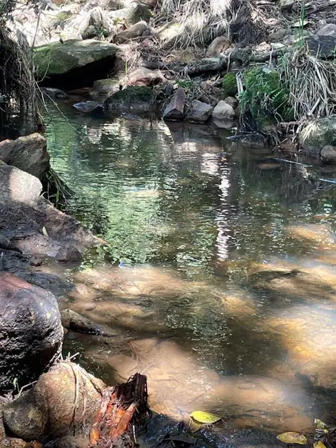 Foto 7 de Sítio / Rancho com 3 quartos à venda, 90m2 em Cunha - SP