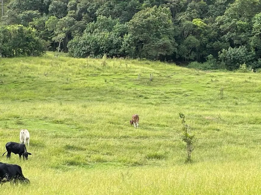 Foto 9 de Sítio / Rancho com 3 quartos à venda, 90m2 em Cunha - SP