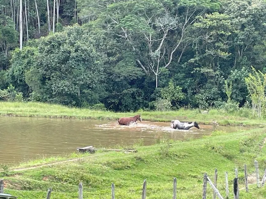 Foto 1 de Sítio / Rancho com 3 quartos à venda, 90m2 em Cunha - SP