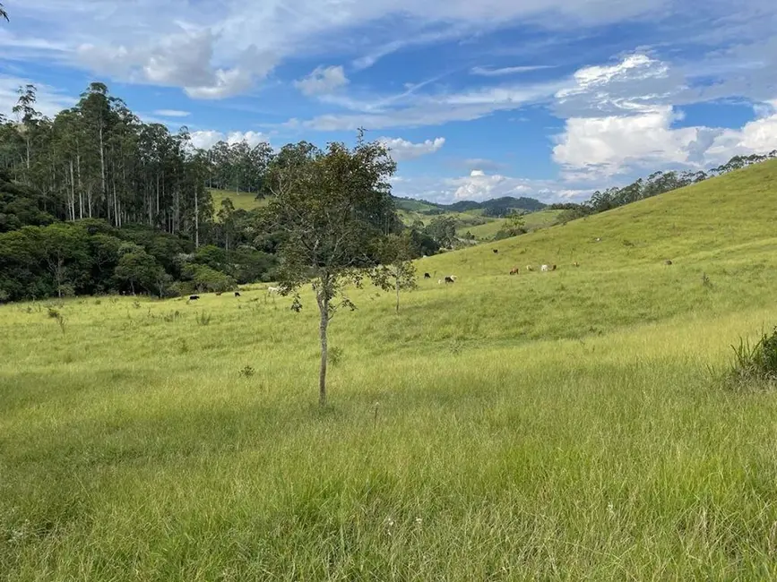Foto 4 de Sítio / Rancho com 3 quartos à venda, 90m2 em Cunha - SP